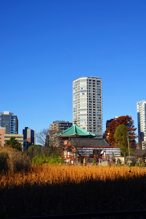 View of the Shinsekai district.の写真素材