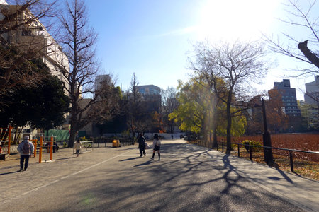 People walk in Central Park in New York City. Central Park is a major tourist attraction in Manhattan.の写真素材