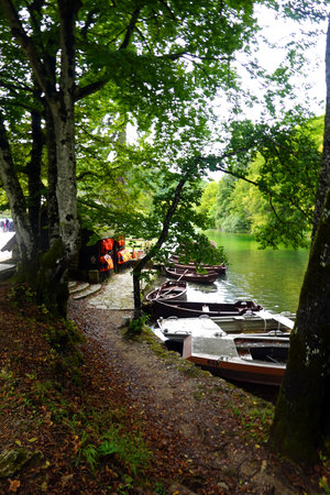 Boats on the river in the park in Bavaria, Germanyの写真素材