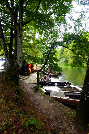 Boats on the lake in the forest. Krakow, Polandの写真素材