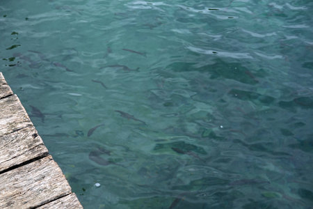 Wooden pier and fish in the sea. Close-up.の写真素材