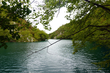 Lake in Plitvice Lakes National Park, Croatia.の写真素材