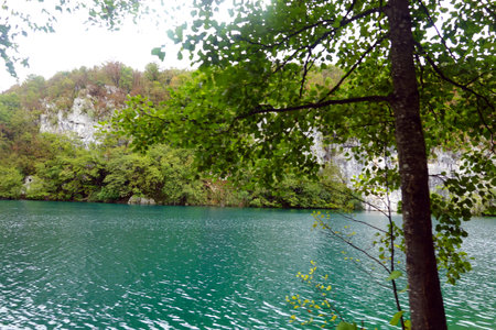 lake in Plitvice Lakes National Park, Croatia.の写真素材