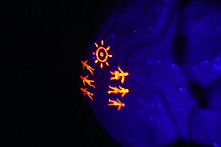Neurological structure of the human body, closeup of photoの写真素材
