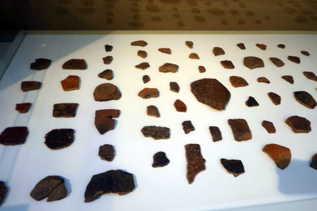 Expositions in the Museum of Natural History in Barcelona.