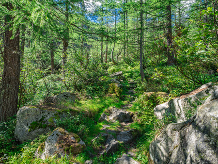 Hiking Trail in Natural Park of Alta Valle Antrona, Piedmont, Italyの写真素材