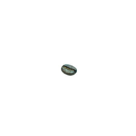 Coffee beans. Isolated on white background.