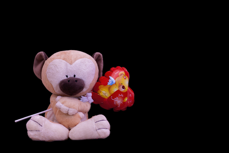 valentine monkey blackの写真素材