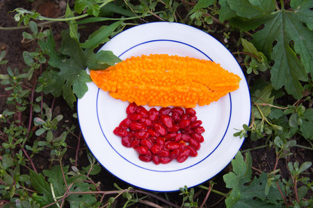 Momordica charantia: plant species used as food and medicine in tropical climate regions. The most...
