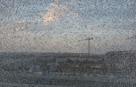 cracked tempered glass. cracks have created a regular decor, tempered and laminated glassの写真素材