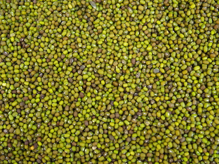 green raw pea background shooting. top view organic food. Mung beans. Raw legume foodの写真素材
