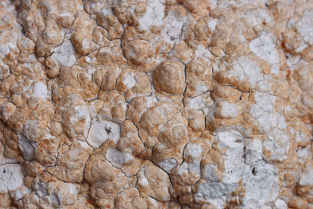 Close up of Meerschaum surface. fluffy, cracked, lime surface