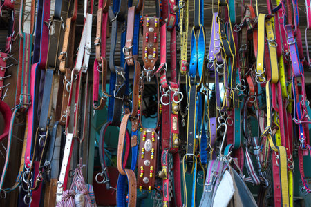 collars of various animals, straps. colored belts of various sizes