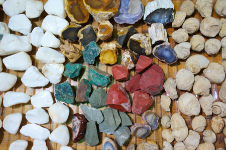 mineral stones and fossilized snails. used in jewelry, accessories and mining
