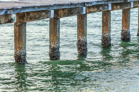 texture of concrete have sea shell with seaの写真素材