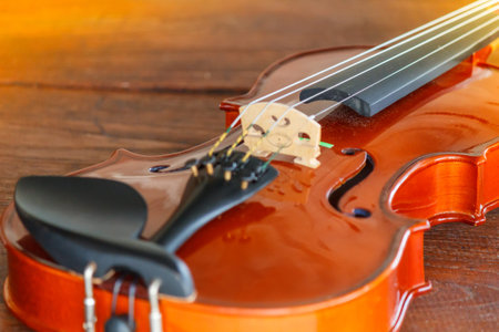 Close up of a violin shallow deep of field with copy space