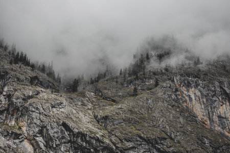 Rock mountain with pines wrapped by gray clouds