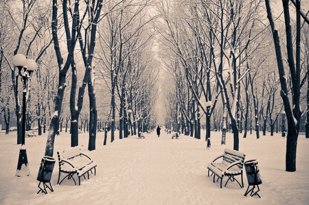 Snow wayの写真素材