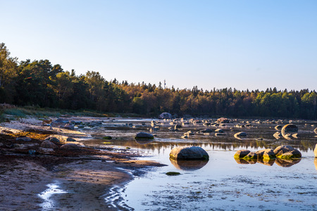 Beautiful stones in the bay of Baltic sea at a sunsetの写真素材