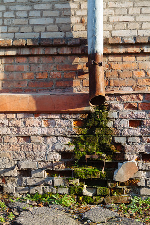 Moss and damp on a brick wall of a house in Kharkiv, Ukraineの写真素材
