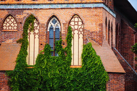 Cathedral Church of Kaliningrad on Kant island.の写真素材