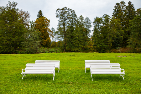 Beautiful white wooden benches in green meadow in summerの写真素材