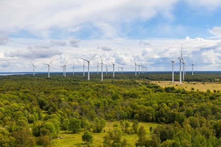 Wind turbines rising above the forest