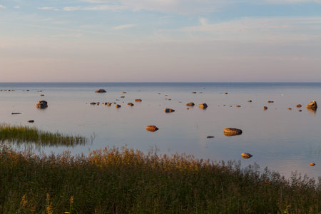 Beautiful sunset landscape green coast with grass, sand and colorful stones in water