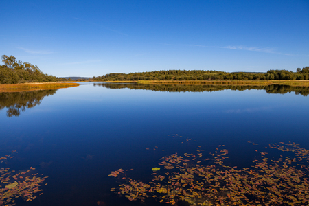 Calm lake with trees along coast. Autumn summer day.の写真素材