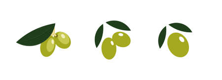 Set of Olive for olive oil, health and vegetable emblem, Mediterranean kitchen ingredient vector templateのイラスト素材
