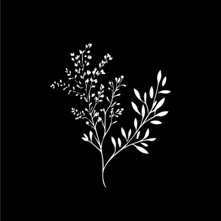 Herbs boho logo white icon of hand drawn sketch dry branch leaves silhouette on black background, t-shirt print, nature label, tattoo template. Isolated vector illustrationのイラスト素材