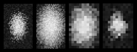 Censorship Pixel Blur Effect on Face, Abstract Censored Portrait in Black and White, Privacy Protection or Digital Identity Concept. Vector Illustration.のイラスト素材