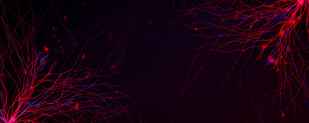 Blood Vessel Vein Wireframe Background, Micro Vascular Veins Lines Structure, Cardio Surgery...