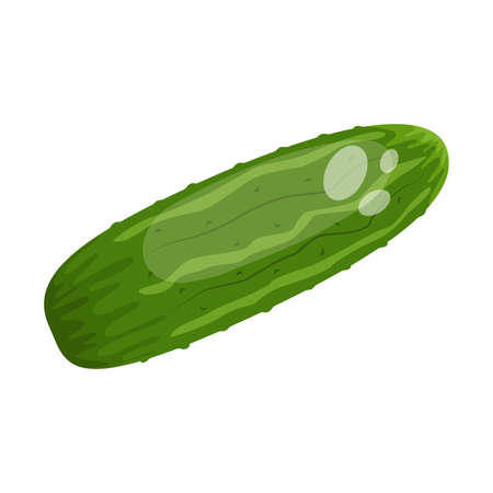Cartoon fresh organic green cucumber icon. vector illustration.のイラスト素材