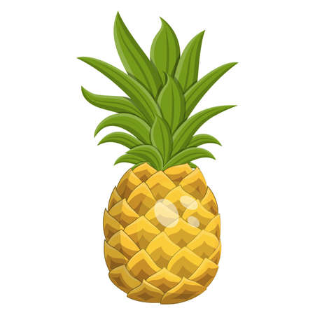 Cartoon ripe pineapple fruit, vector illustrationのイラスト素材