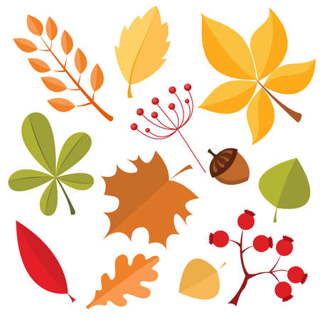 Autumn leaves set. Flat vector illustrationのイラスト素材