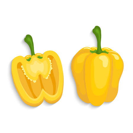 Realistic yellow bell peppers whole and sliced, vector illustrationのイラスト素材
