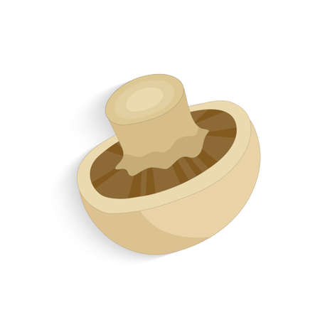 Champignon mushrooms. Fresh organic realistic mushrooms, vector illustrationのイラスト素材