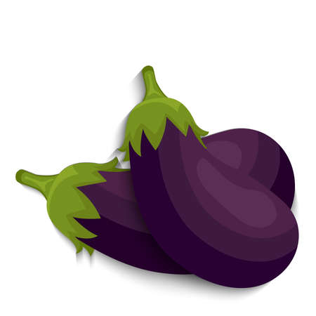 Realistic eggplant vegetables whole, vector illustrationのイラスト素材