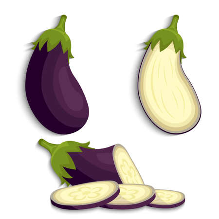 Eggplant vegetable whole , cut and sliced , vector illustrationのイラスト素材
