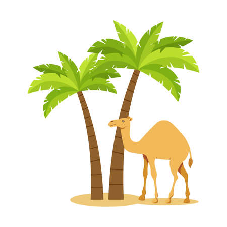 Camel under the palms. vector illustrationのイラスト素材