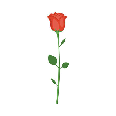 Cartoon red rose. Vector illustration for Valentine's Day.のイラスト素材