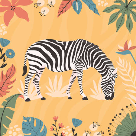 Tropical zebra abstract background poster. with hand drawn illustrations.のイラスト素材