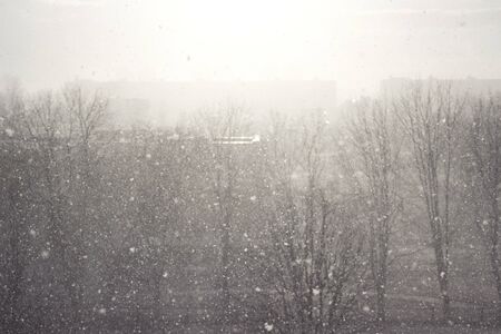 Modern fancy silver white glitter sparkle background, Christmas ice frost border, frosty winter icy snow, diamond crystal. snowflakes frozen in flight on a background of blurred snowの写真素材