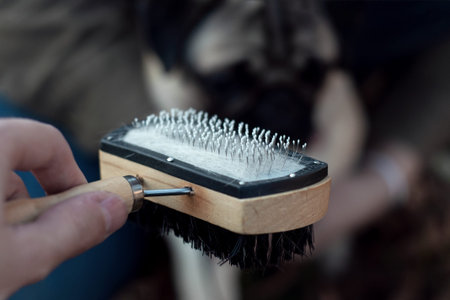 Grooming brush, or professional comb for dog, with shreds of white fur. Concept of dog hair care and...