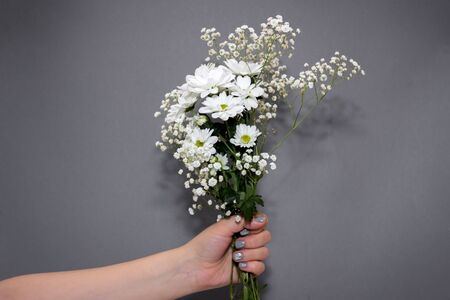 Woman holding bouquet with gypsophila and big daisy on gray backgroundの写真素材