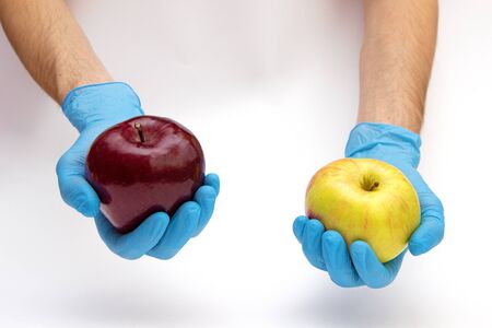 Hands in gloves hold GMO apples and offer to try chemical or bio natural fruitsの写真素材