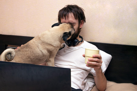 man lying on bed looking at laptop, his pug dog interfere with work, licking his faceの写真素材