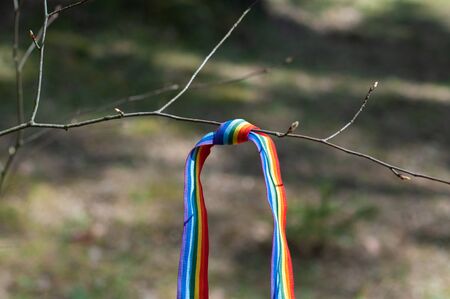 LGBT rainbow ribbon on a bright sunny day in the park, hanging on a tree branch in the sun. Concept of thanks to doctors during a pandemic and hope Let's all be wellの写真素材
