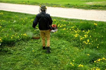 The gardener man mows the grass with yellow dandelions with a hand lawn mower. close up hands...
